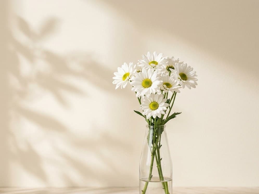 Daisy