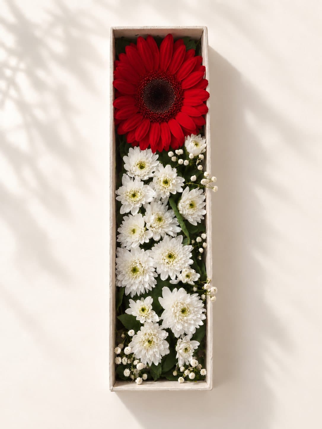 The Garden Drawer — Winter Scarlet